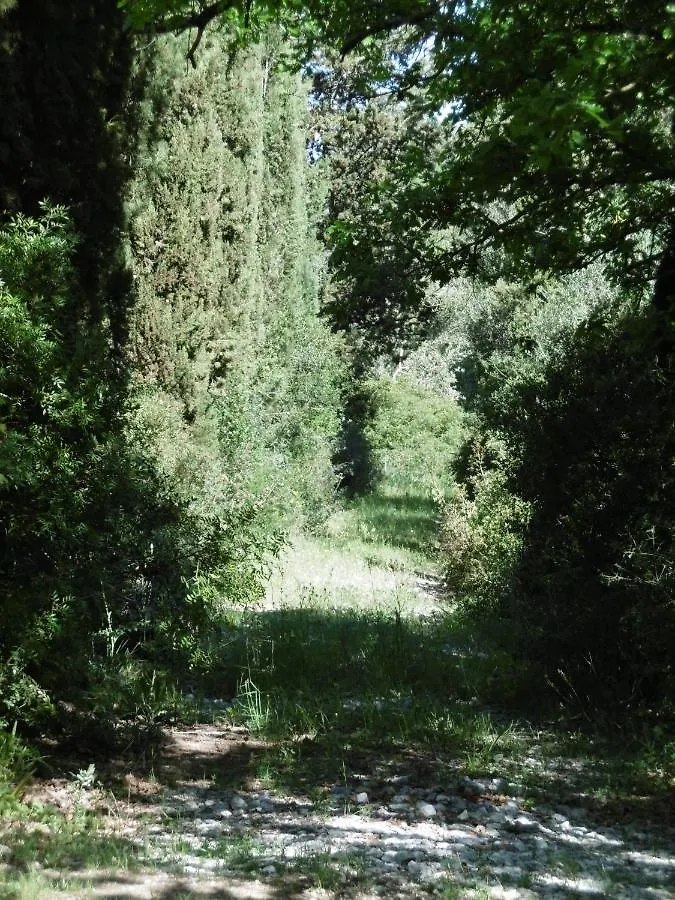 Poggetto Masino Villa Suvereto 0*,  Italy