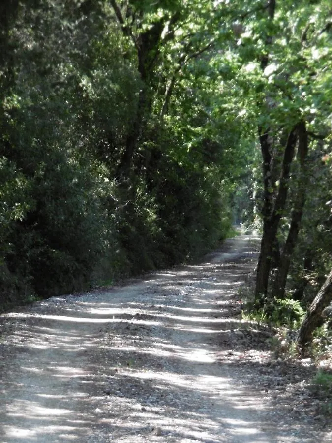 Poggetto Masino Villa Suvereto