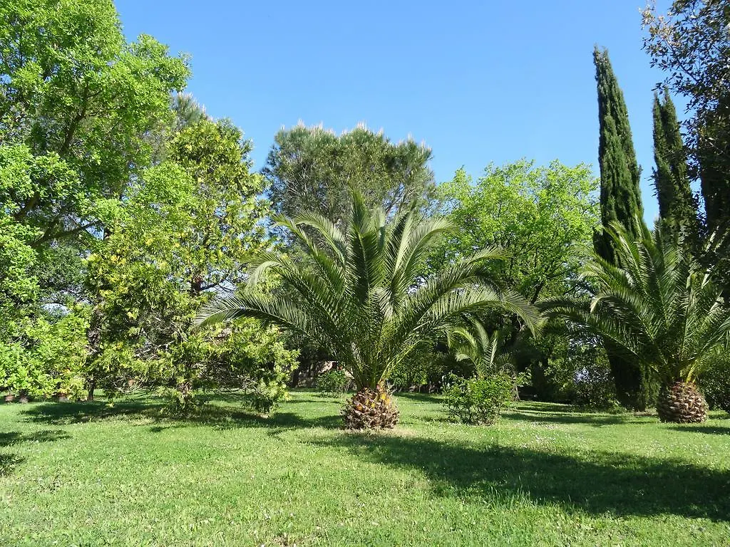 Poggetto Masino Villa Suvereto
