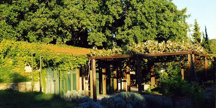 Poggetto Masino Villa Suvereto